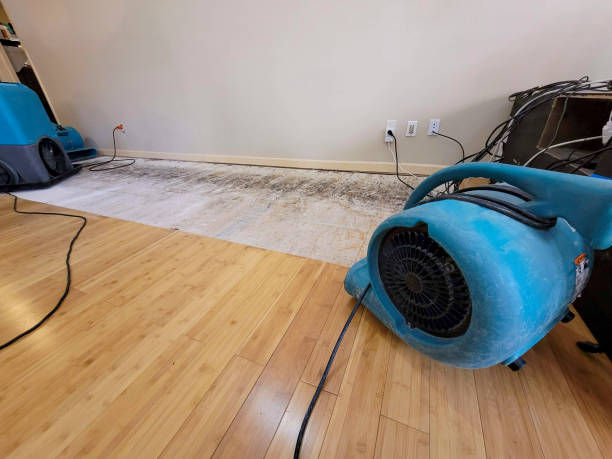 Professional Burst Pipe Water Damage technician working in Buffalo Grove, IL